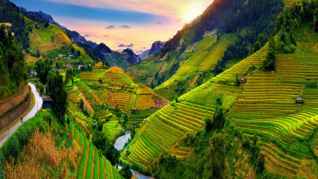 Vietnam